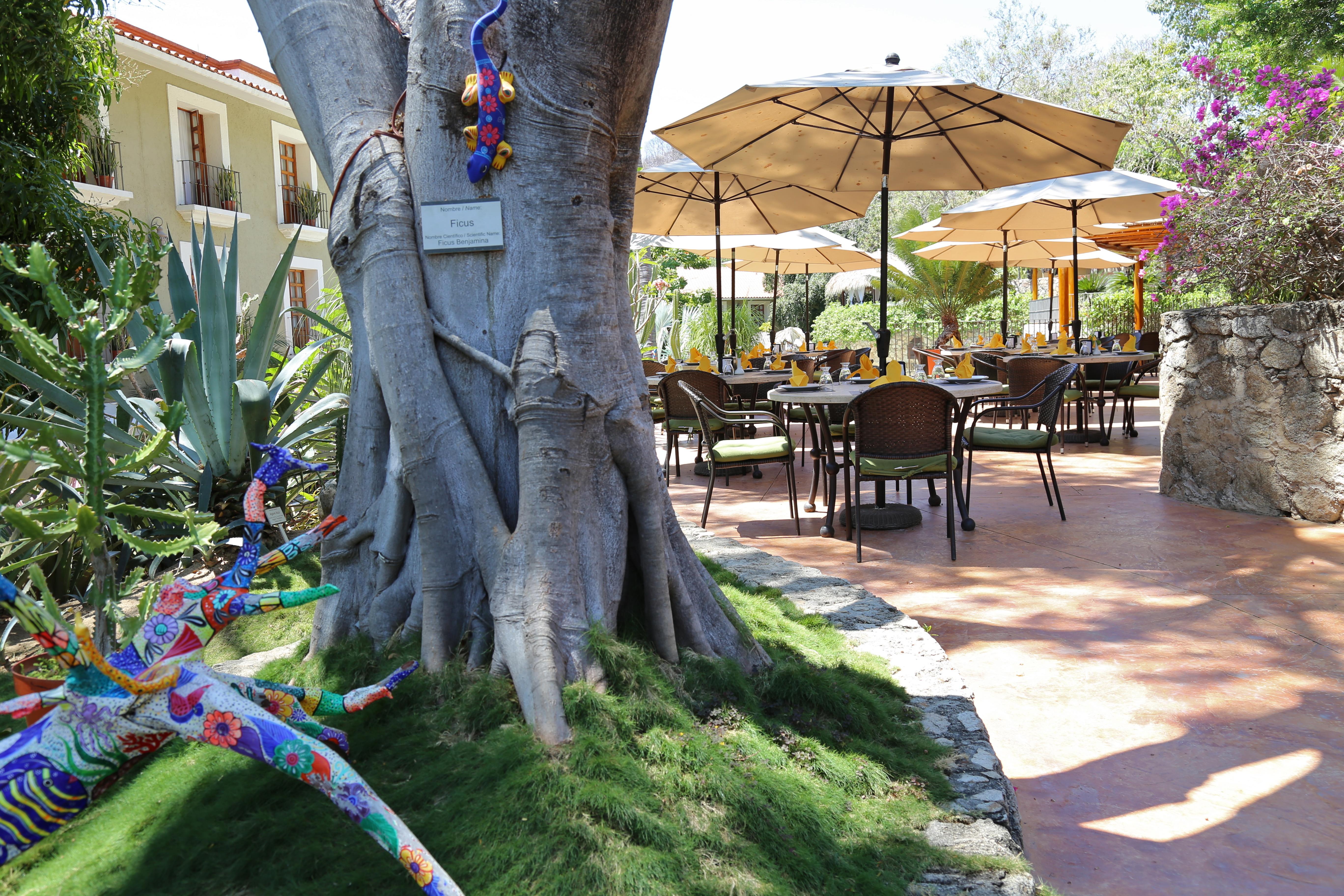 Binniguenda Huatulco & Beach Club Extérieur photo